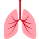 lungs