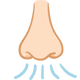 nose